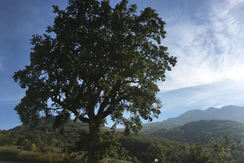 Casa A Montebello Di Bertona Con Vista Gran Sasso Villa Eksteriør billede