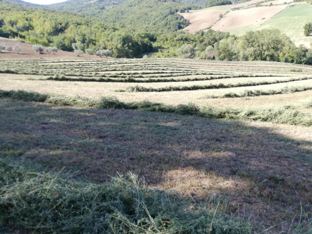 Casa A Montebello Di Bertona Con Vista Gran Sasso Villa Eksteriør billede