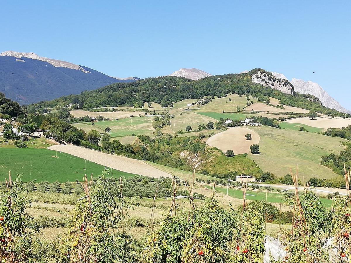 Casa A Montebello Di Bertona Con Vista Gran Sasso Villa Eksteriør billede