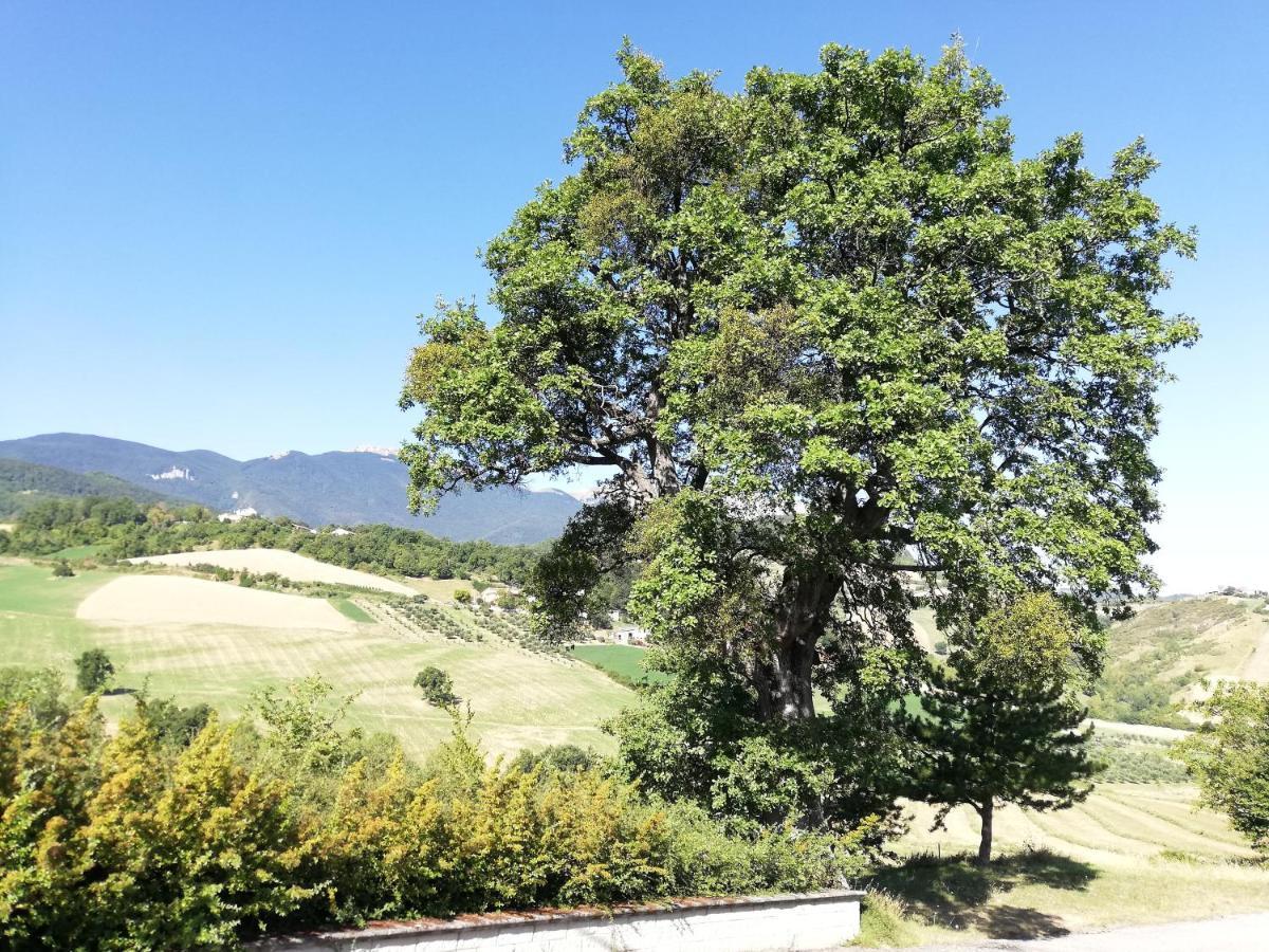 Casa A Montebello Di Bertona Con Vista Gran Sasso Villa Eksteriør billede